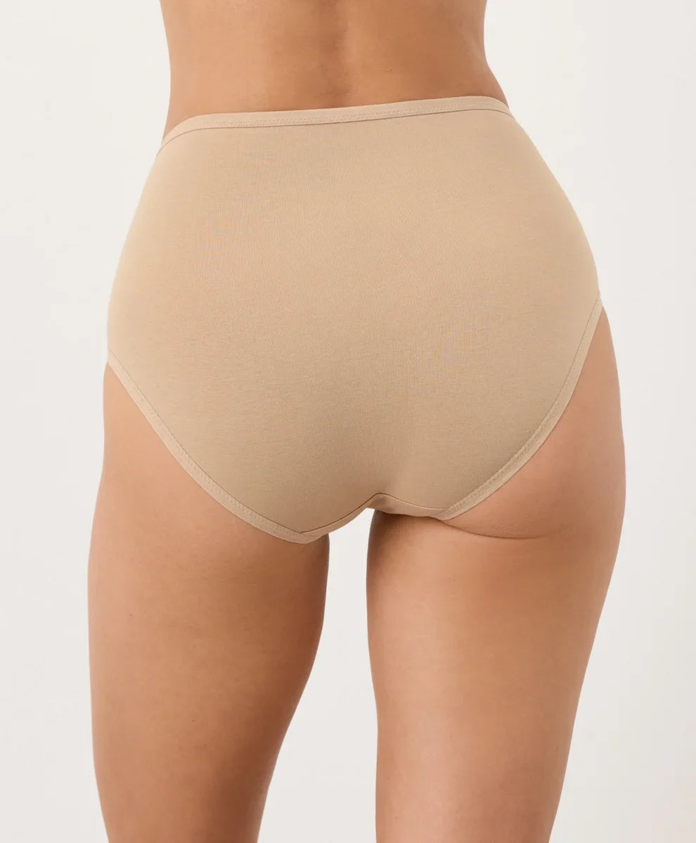 everyday high rise brief