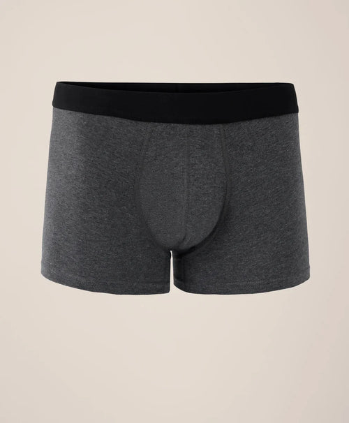everyday trunk