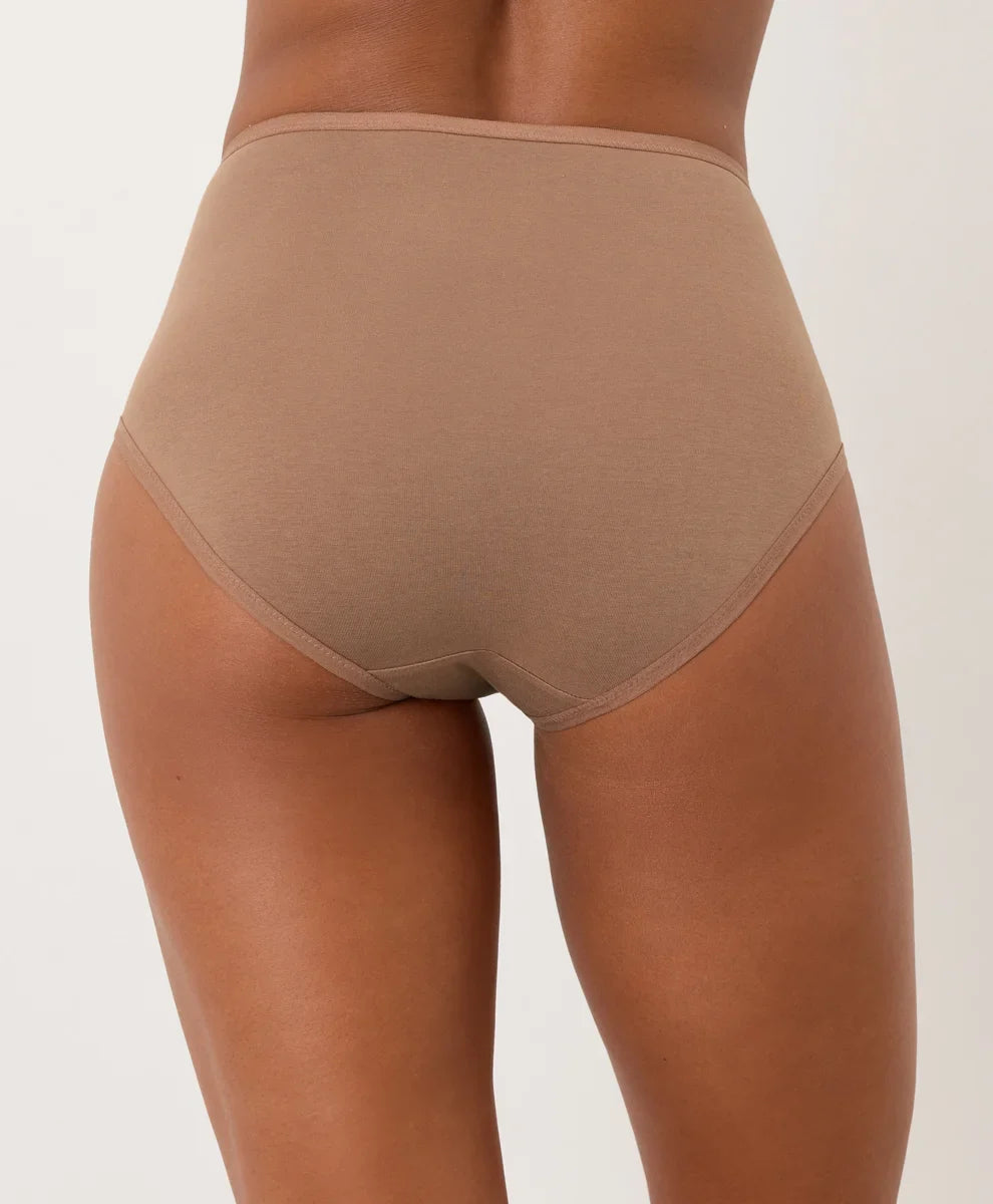 everyday high rise brief
