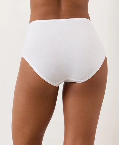 everyday high rise brief
