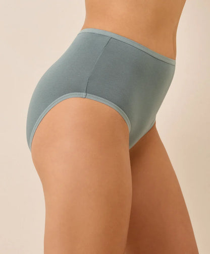 clearance everyday high rise brief 5-pack