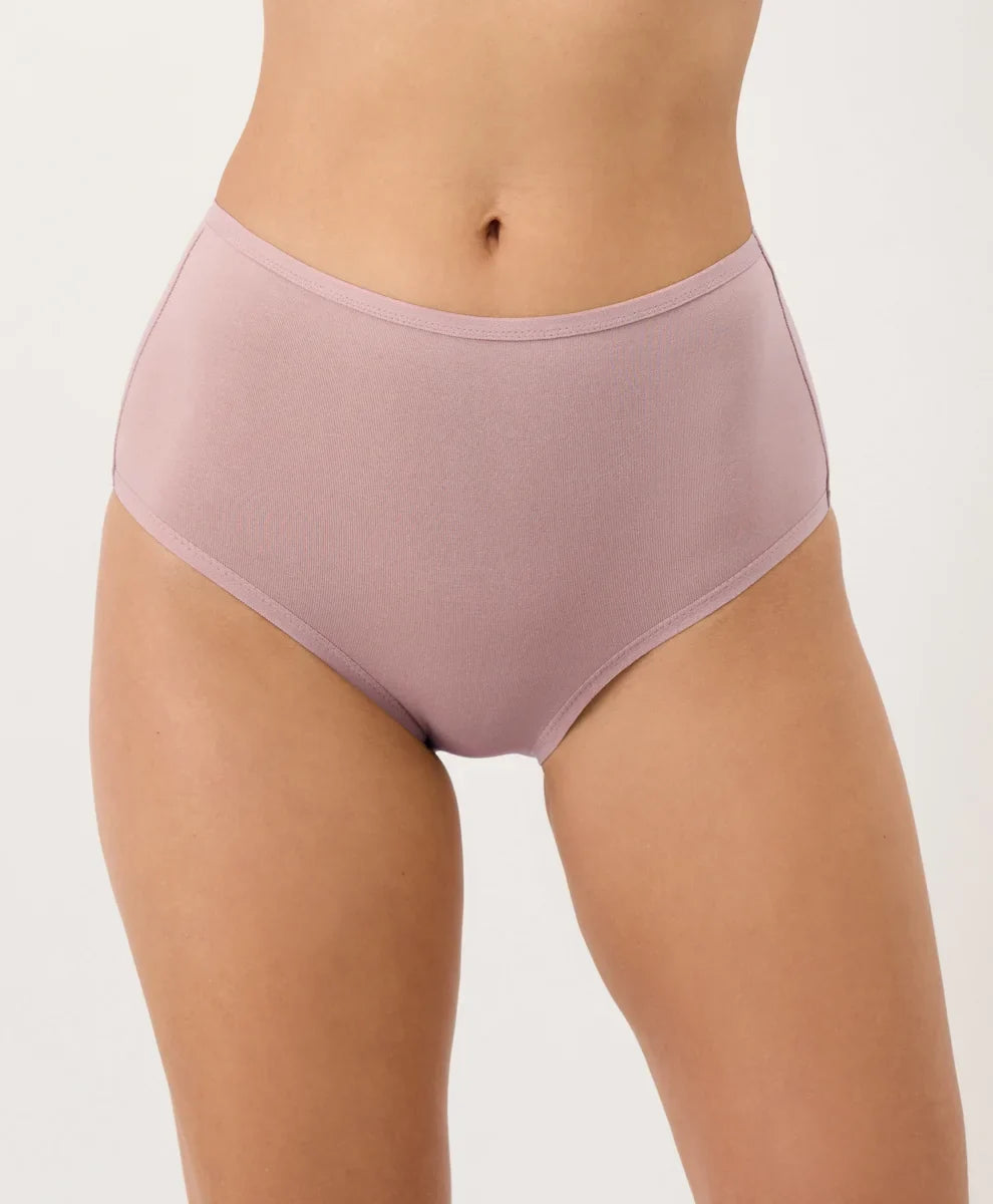 clearance everyday high rise brief